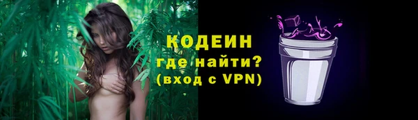 дмт Абаза