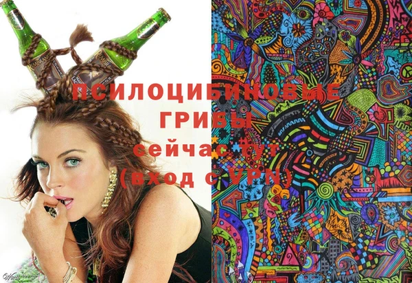 дмт Абаза