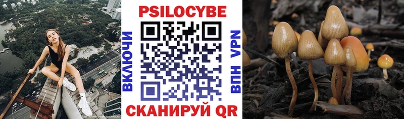 Галлюциногенные грибы мухоморы  Черемхово 