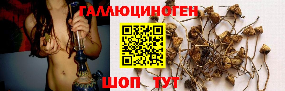 Псилоцибиновые грибы мухоморы Черемхово